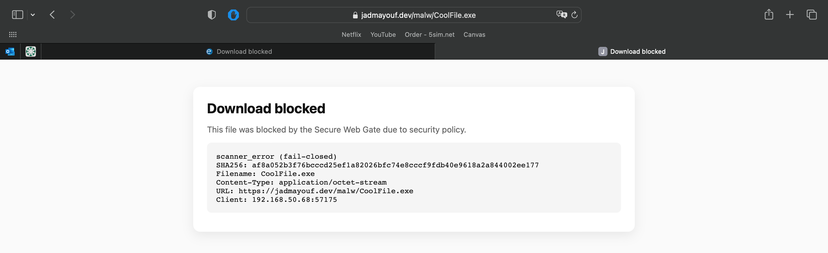 A file blocked because the scanner failed.